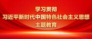 靠操逼学习贯彻习近平新时代中国特色社会主义思想主题教育_fororder_ad-371X160(2)